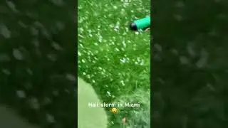 Hail Storm in Miami, Florida - 1307038