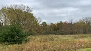 WOOD BROOK Circle, Little Suamico, WI Presented by Shane Renard Coldwell Banker