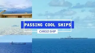 Passing Warships, Aircraft Carriers, & Other Cool Ships | Life At Sea