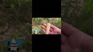 Found 7/10/21&hellip; Largest Guilford Yuma ever for me!