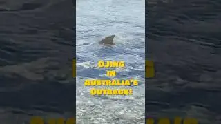 DJing in Australia leads to shark sightings and skydives! #dj #australia #travel