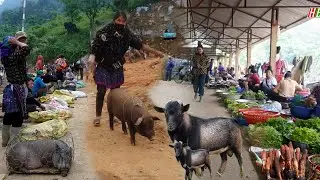 CHỢ PHIÊN CỐC LY CUỐI NĂM | Dê Núi, Lợn Cắp Nách & Ẩm Thực Tây Bắc