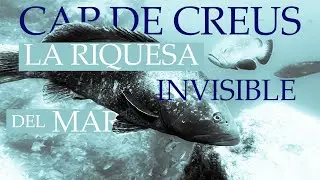 [CAT] CAP DE CREUS: la riquesa invisible del mar (DOCUMENTAL)