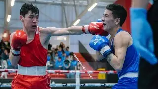 ИСПАНИЯ–2026. 55 кг. Бексұлтан Боранбек – Томинес Максимус (Канада) BOXAM ELITE