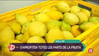 Feim gelat de llimona a Sóller