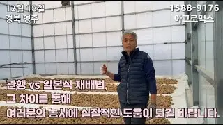 Potato cultivation method in Japan: Yokwang Choi