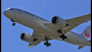 Plane Spotting at Seattle Tacoma Airport - Fast Arrivals with the Occasional 787, 747, & 767 (4K)
