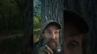 Public Land Missouri Turkey Hunt 2024