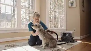 Bissell Bark Bath Commercial