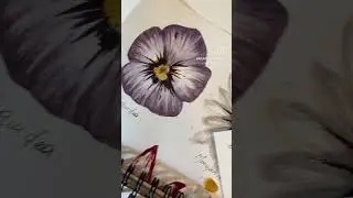 #art #flowers #flower #botanicalillustration #acuarela #watercolor #illustration #lofi #painting