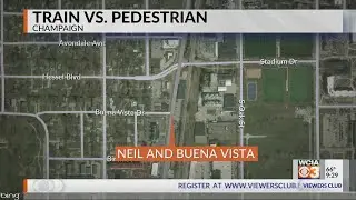 Train vs. Pedestrian