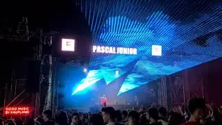 Pascal Junior - Lose Control - Meduza, Becky Hill & Goodboys @ Deep Forest Fest