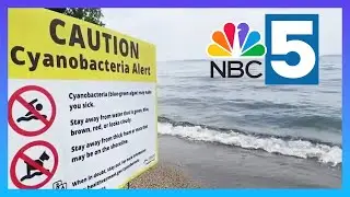 Burlington's new alert system keeps beaches open during heat wave, despite presence of cyanobacteria