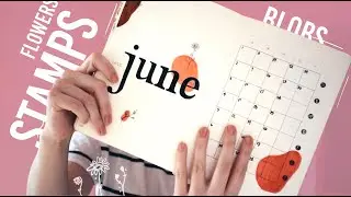 June 2020 Bullet Journal Set Up | minimalist-ish, easy to recreate !