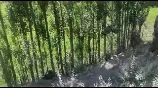 Remote bomb exploded on Afghanistani soldiers