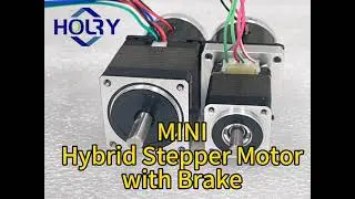 Nema 8 11 Stepper Motor With Brake