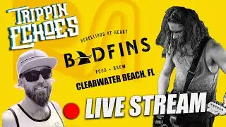 Trippin Echoes at Badfin's | Clearwater Beach , FL | SATURDAY | #Shorts #Livemusic #duo