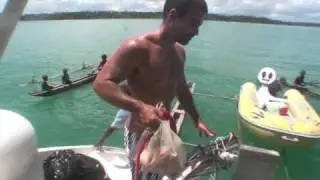 Expedi&ccedil;&atilde;o Destino Azul