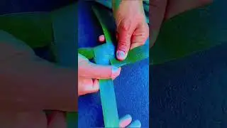  How to make a Coconut leaf fan  || ഓലപ്പങ്ക ഉണ്ടാകാം 