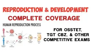 BIOLOGY || REPRODUCTION & DEVELOPMENT IN HUMAN FOR OSSTET, CTET, & TEACHING EXAMS