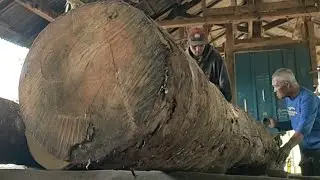 Exceptional woodworking at an Indonesian sawmill