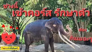 เสียงใสๆ ของ พลายศักดิ์สุรินทร์  ดังกังวานศูนย์ฯ เริ่มตะเบ็งเสียงเก่งแล้ว
