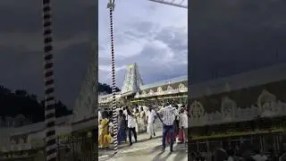 Om Namo Bhagavate Vasudevaya Song l Tirupati Balaji Darshan | Journey to Lord Venkateswara Temple