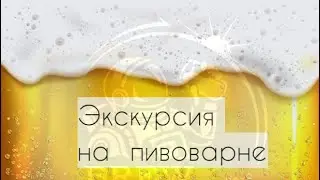 Brew Division - Production of local craft beer