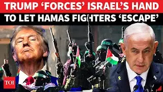 SHOCKING! Trump ORDERS Netanyahu To Stand Down, Give Hamas Fighters Safe Exit From Gaza | Report