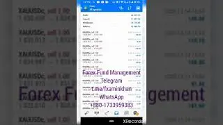 Forex Fund Management