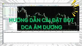HƯỚNG DẪN C&Agrave;I BOT DCA &Acirc;M DƯƠNG V&Agrave;O MT5 - FOREX DONGDONG TV