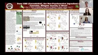 Does CBD, the Non-Psychoactive Ingredient of Cannabis, Mitigate Anxiety in Mice?