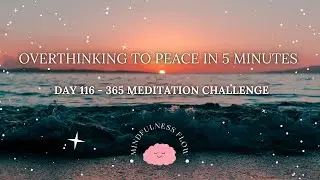365 Days Meditation Challenge | Day 116 - Overthinking to Peace in 5 Minutes