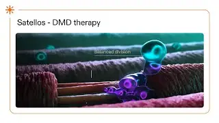 Satellos DMD therapy - 3D animation