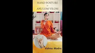 This hand posture should be used in Anulom Vilom Pranayama?