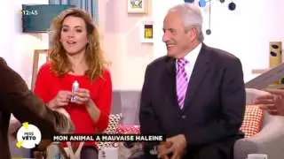 Que faire contre la mauvaise haleine de nos animaux ?