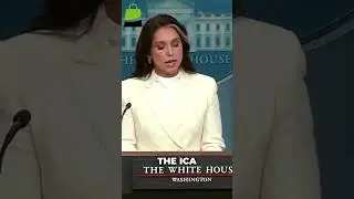 Obama Officials Accused of Faking Intel to Target Trump!