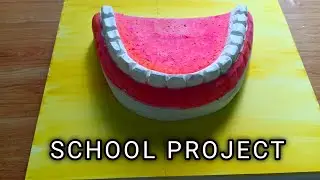 Как сделать модель зубов 🙂 Научный проект 🙂 Очень просто...