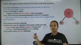 Grade 10 Biology unit 3 part 1 water
