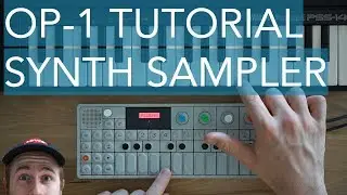 Synth Sampler | Teenage Engineering OP-1 Beginner Tutorial