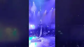11.11.23, Сколково, Air Heart, воздушные полотна, Сурская Екатерина