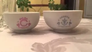 Dragon Ball Z Vegeta and Bulma Porcelain Bandai Toei Animation bowls 2015