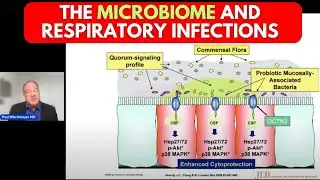 Doctor Reveals Latest Research on Gut Health and Common Infections Including COVID-19 & C Difficile