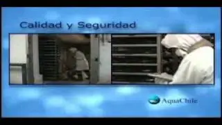 AquaChile Video en Espa&ntilde;ol