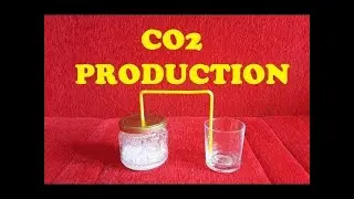 Making carbon dioxide gas (Production of Co2) | Only using acetic acid and sodium bicarbonate.
