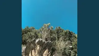 Intro