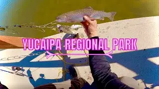 В поисках радужной форели в региональном парке Юкайпа!!!