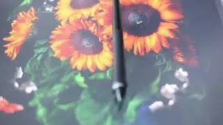 Sander van Laar meets van Gogh 