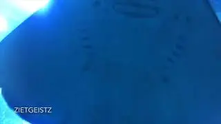 DUBAI AQUARIUM : Underwater Tunnel, Dubai mall, Dubai