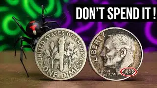 These 10 Roosevelt Dimes Are Shocking Collectors Right Now | Rare Coin Alert!